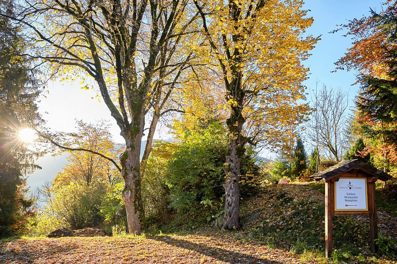 Herbst Einfahrt FB
